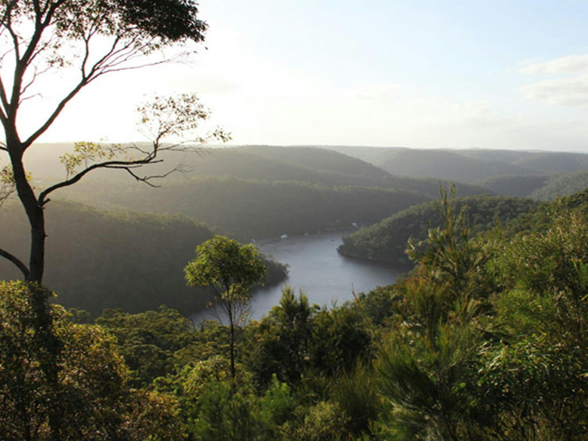Barnetts lookout