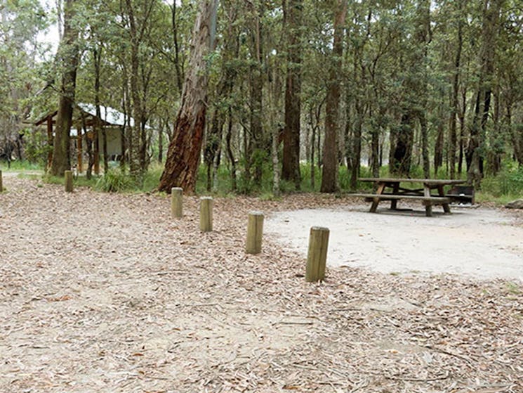 Barokee campground, with picnic table and a shelter in the distance surrounded by trees. Photo: Leah