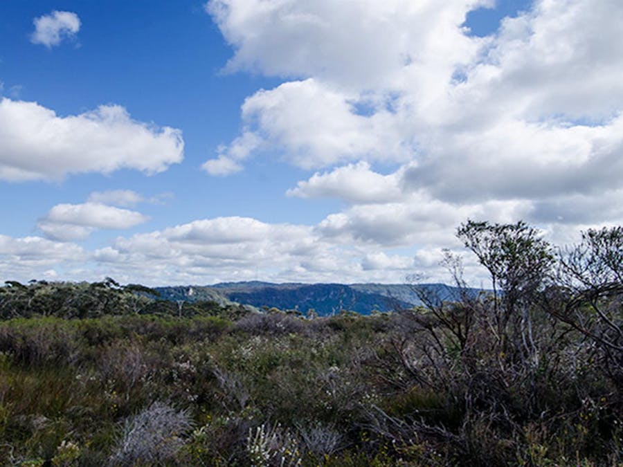View from Griffths trail, Barren Grounds Nature Reserve. Photo: John Spencer/NSW Government