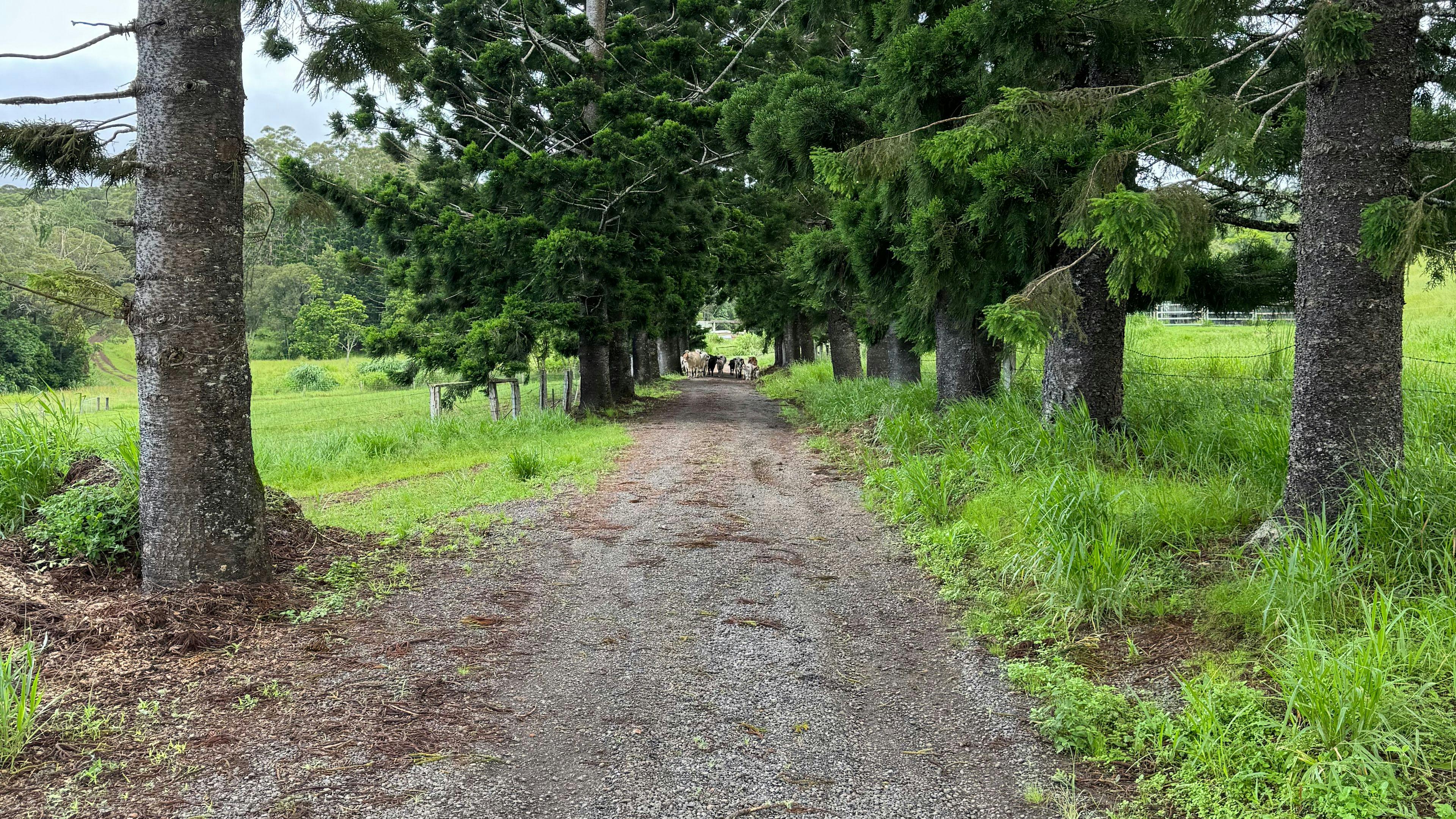 Barrine Farmstay And Camping