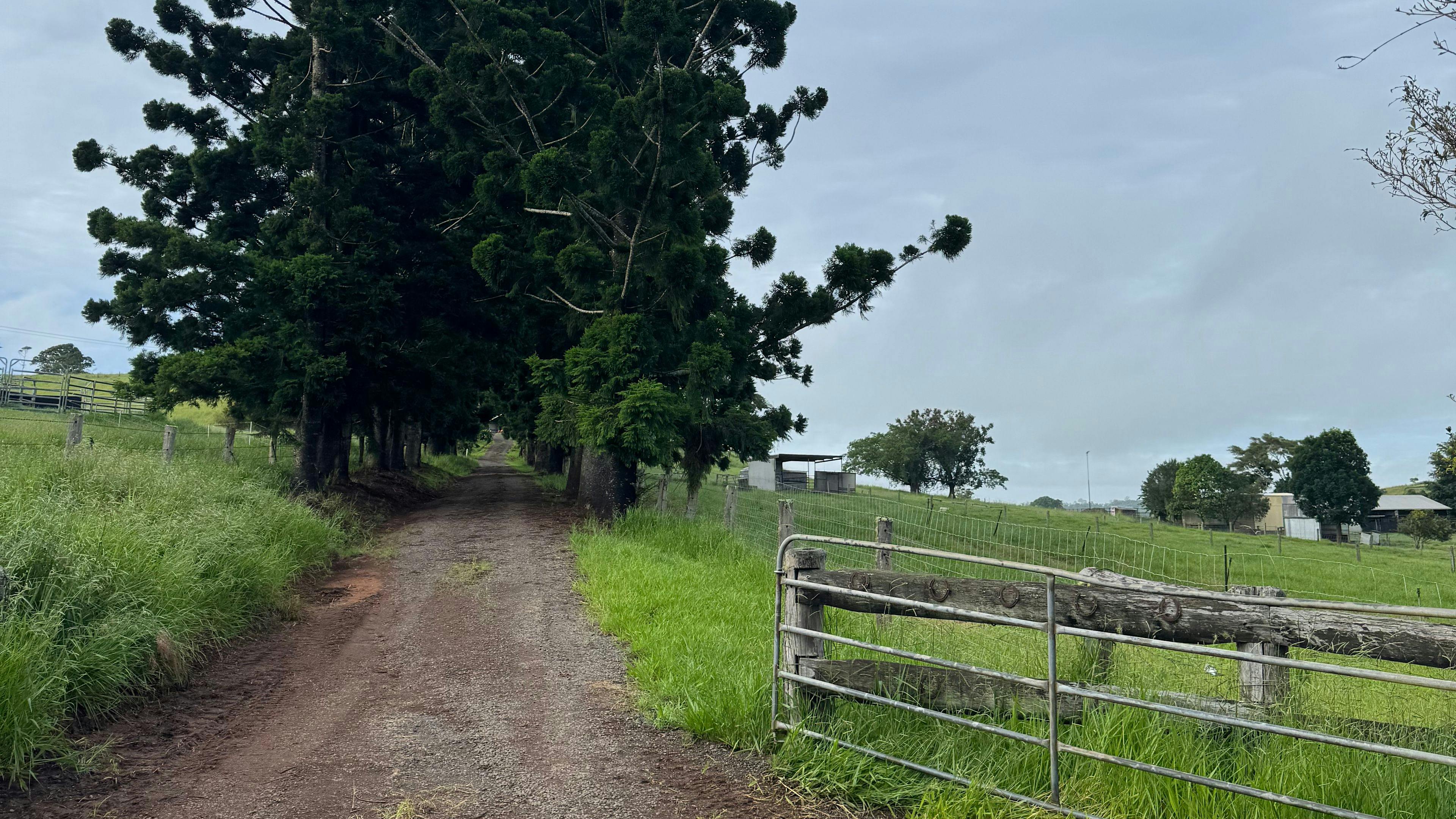 Barrine Farmstay And Camping