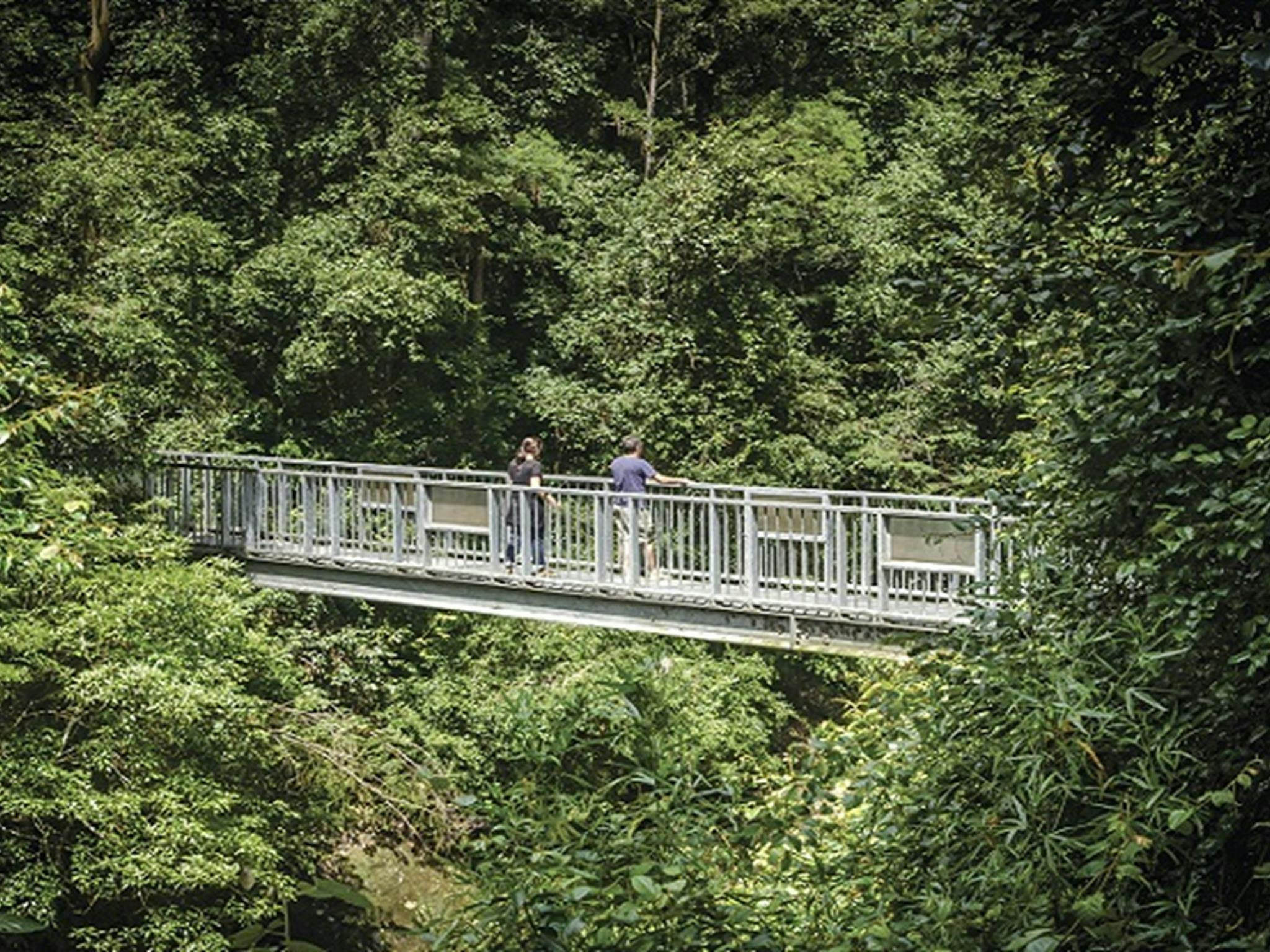 Barrington Tops National Park