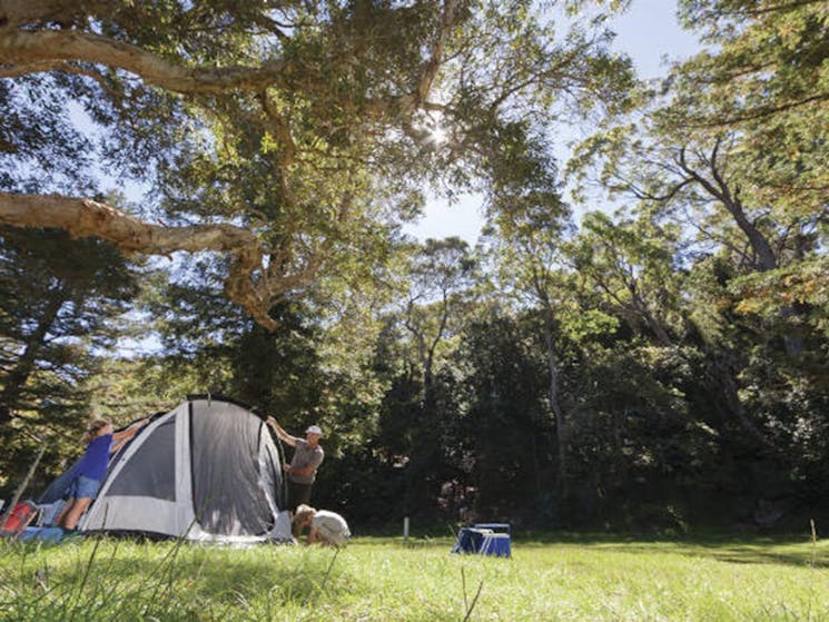 A family sets up their tent on a grassy area at The Basin campground in Ku-ring-gai Chase National