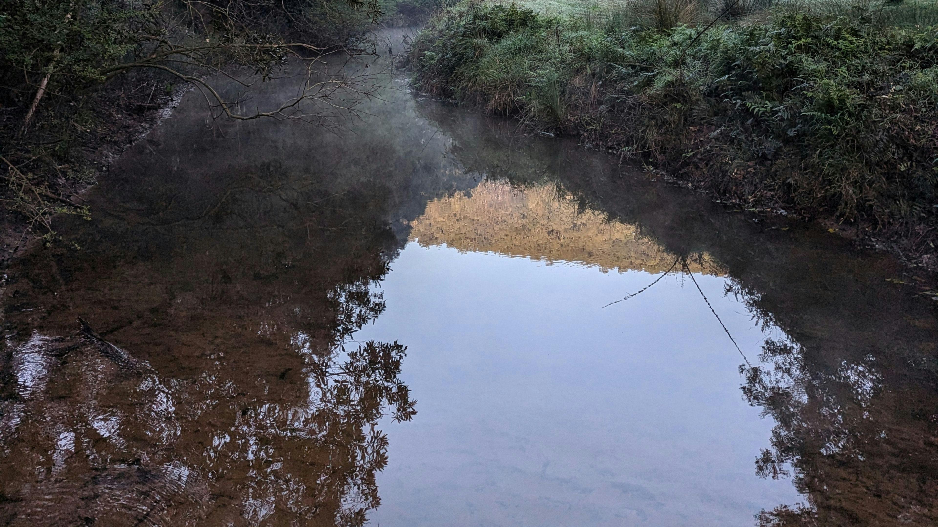 Bass Billabong - Cedar Creek Farm