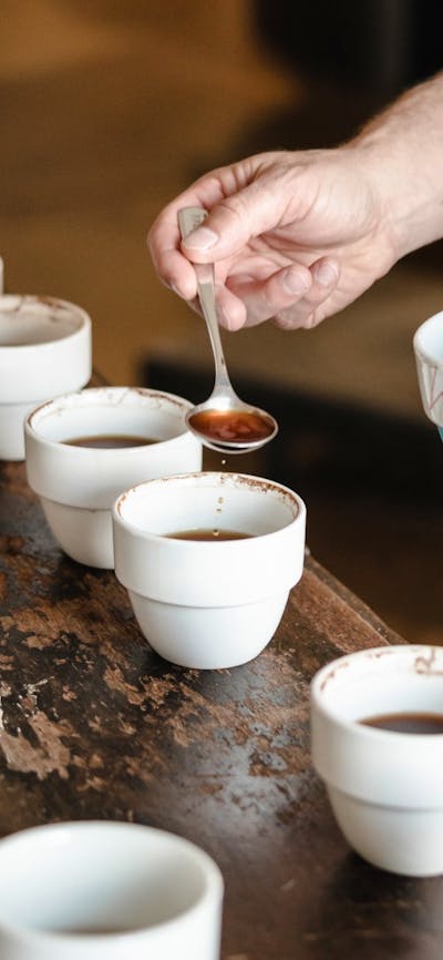 Cupping