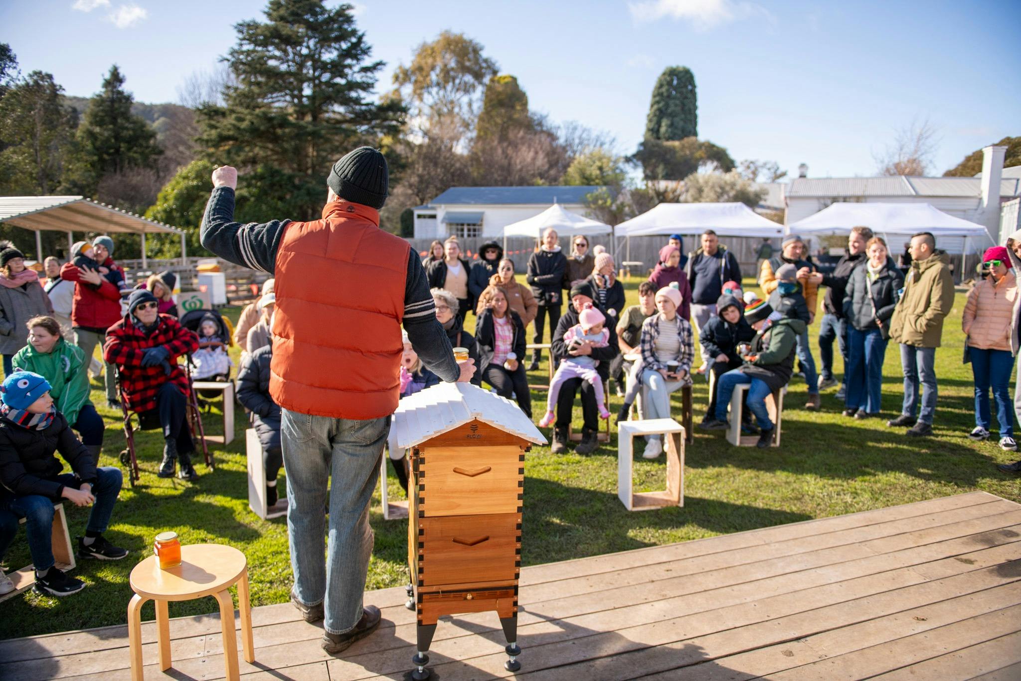 Learn about bees in Bowral