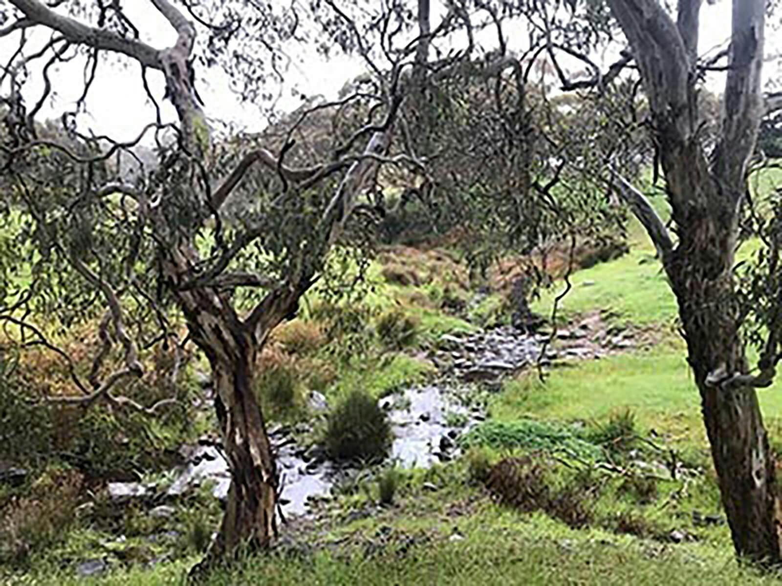 Wild-South-Coast-Way-Adventure-creek-camp