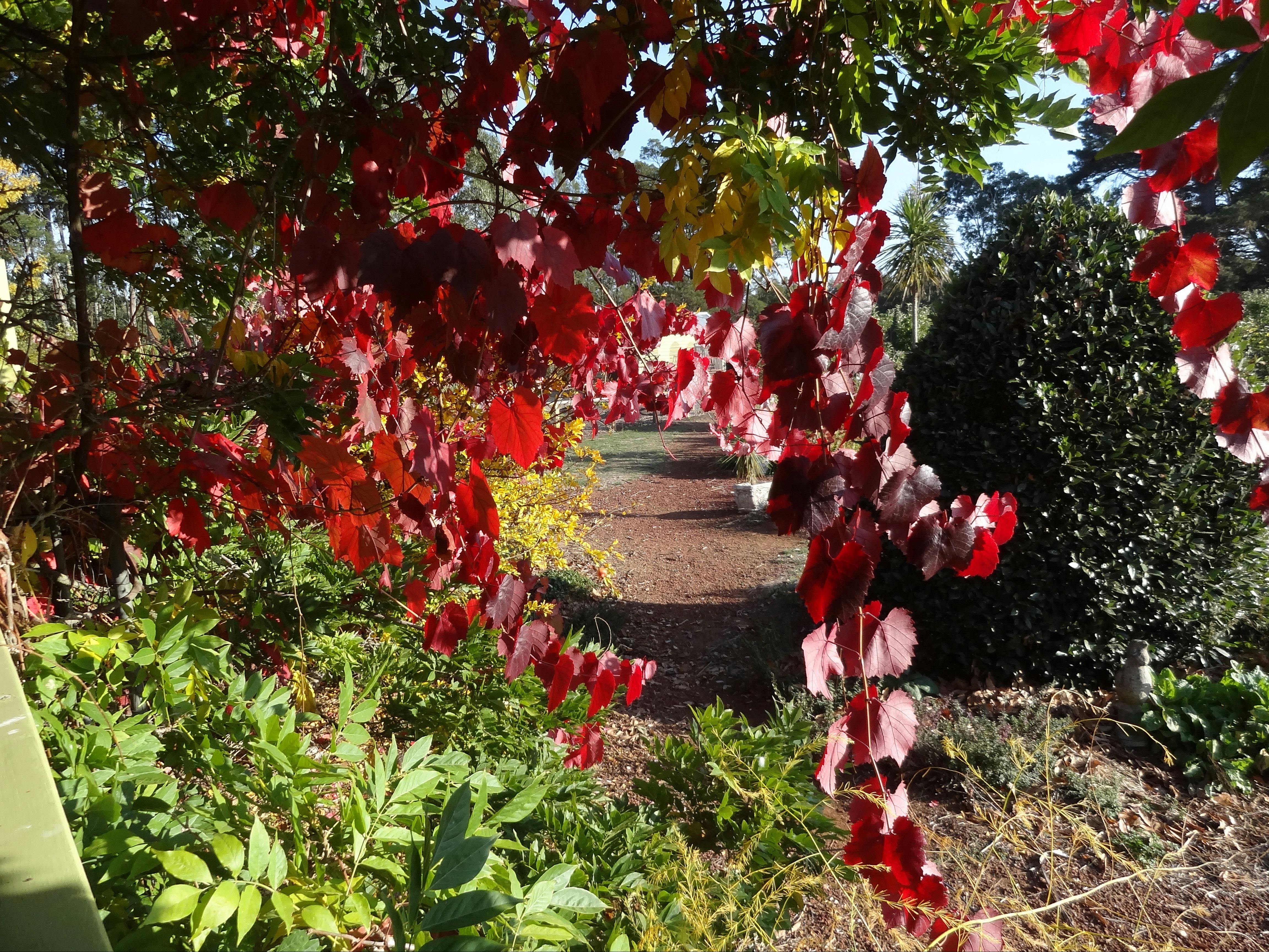 Autumn