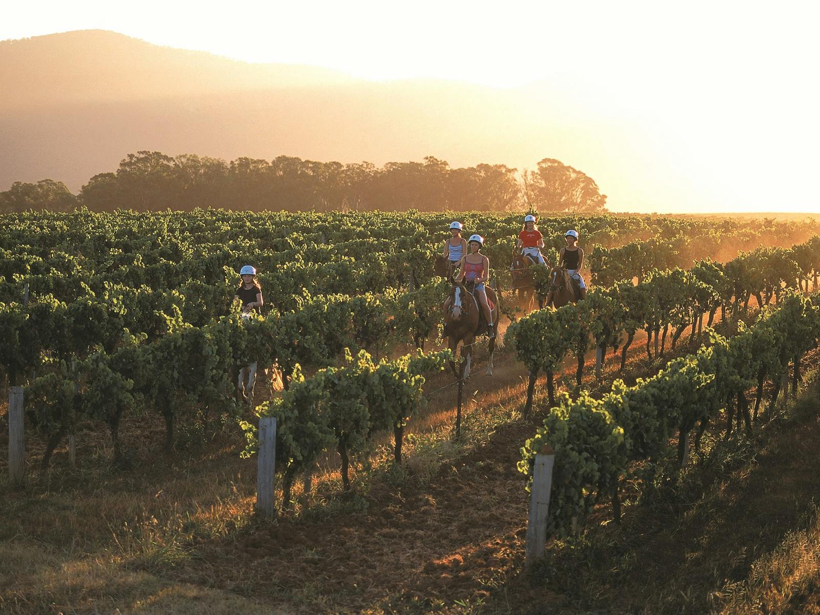 Hunter Valley Adventure Centre