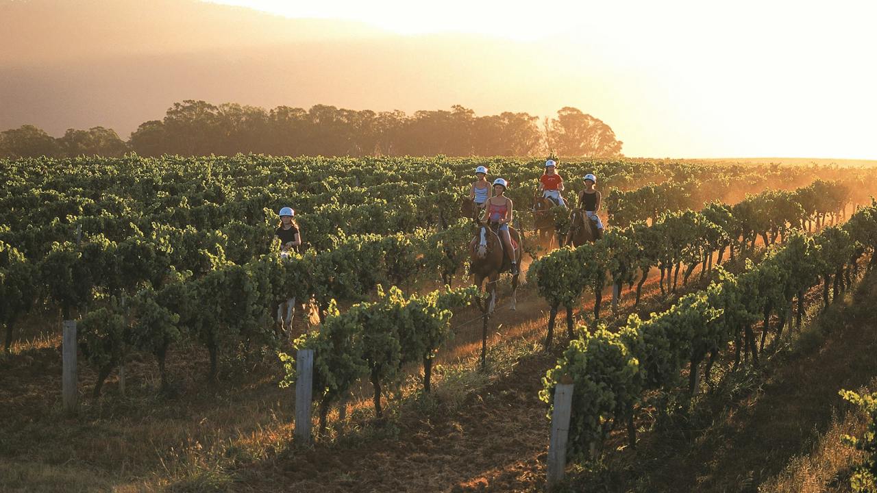 Hunter Valley Adventure Centre