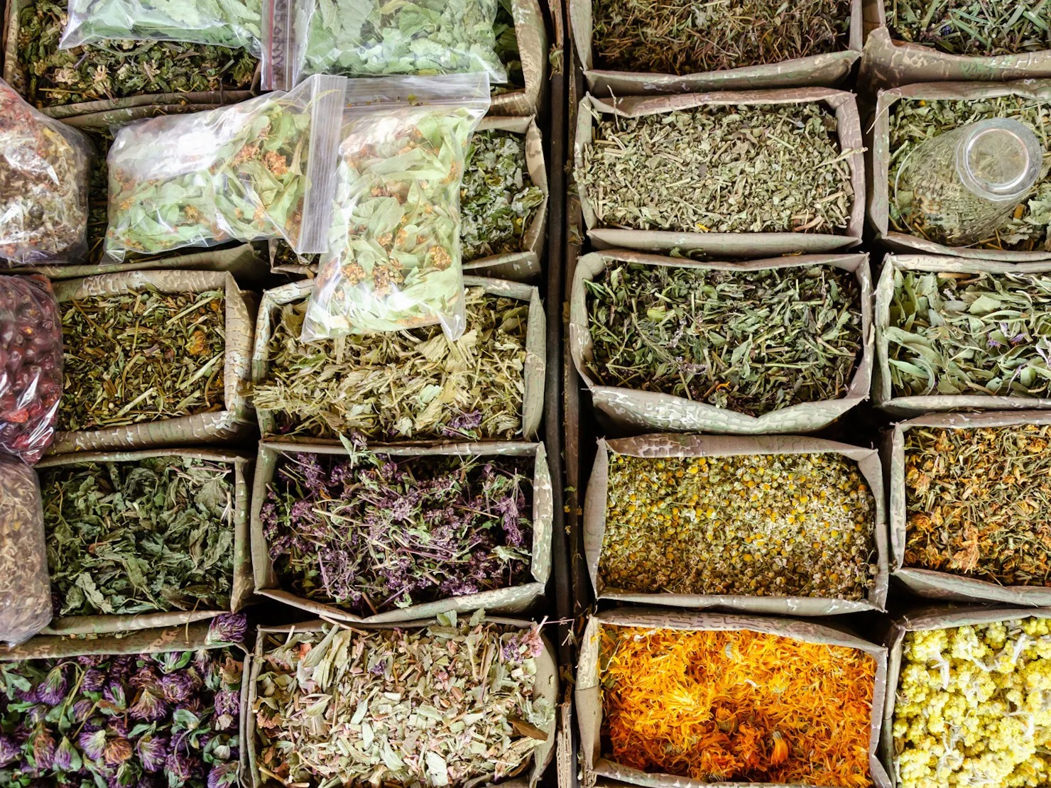 herbs for cooking and medicinal