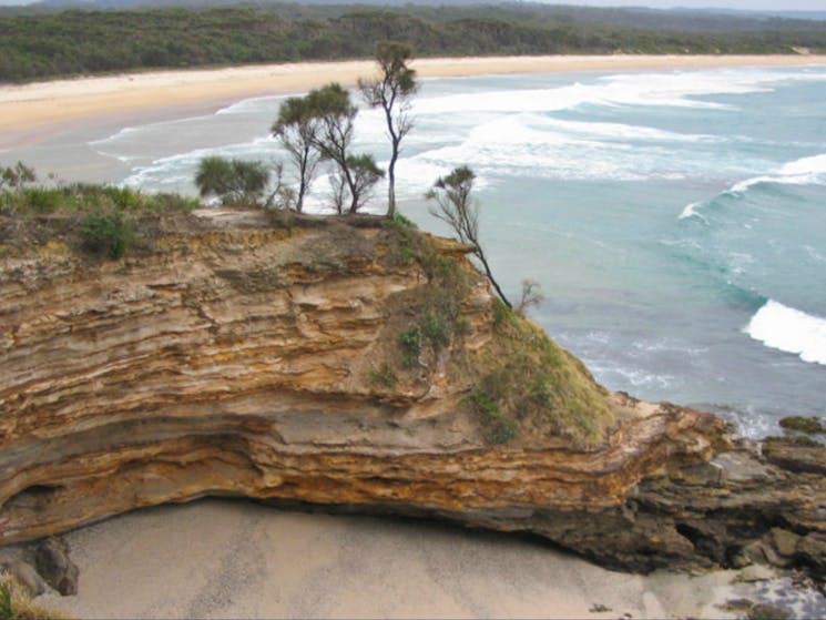 Meroo Head lookout walking track