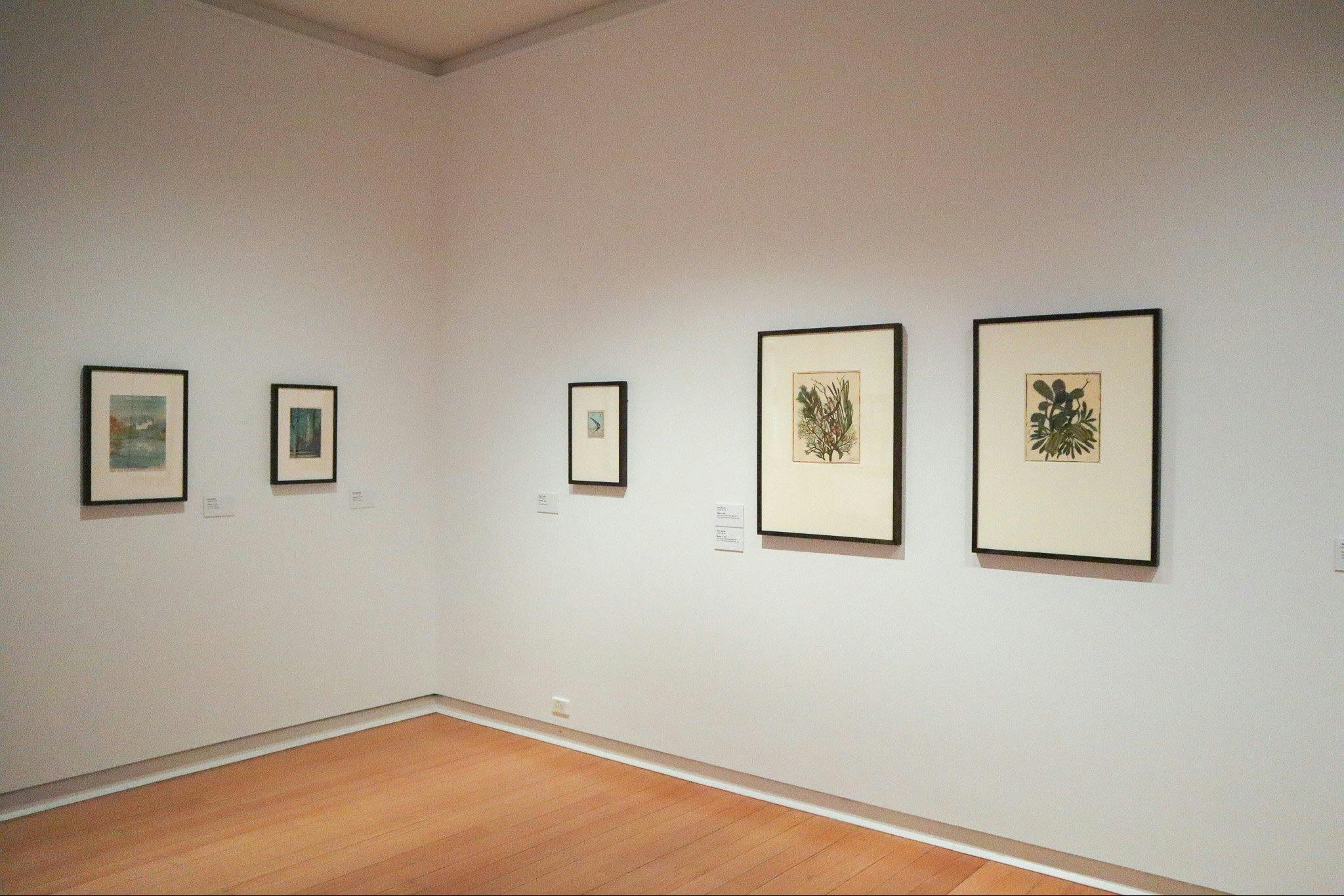Modern Lives—Prints by Australian Women Artists 1900s–1960s