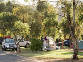 Enjoy the native trees as you set up camp on one of our spacious sites