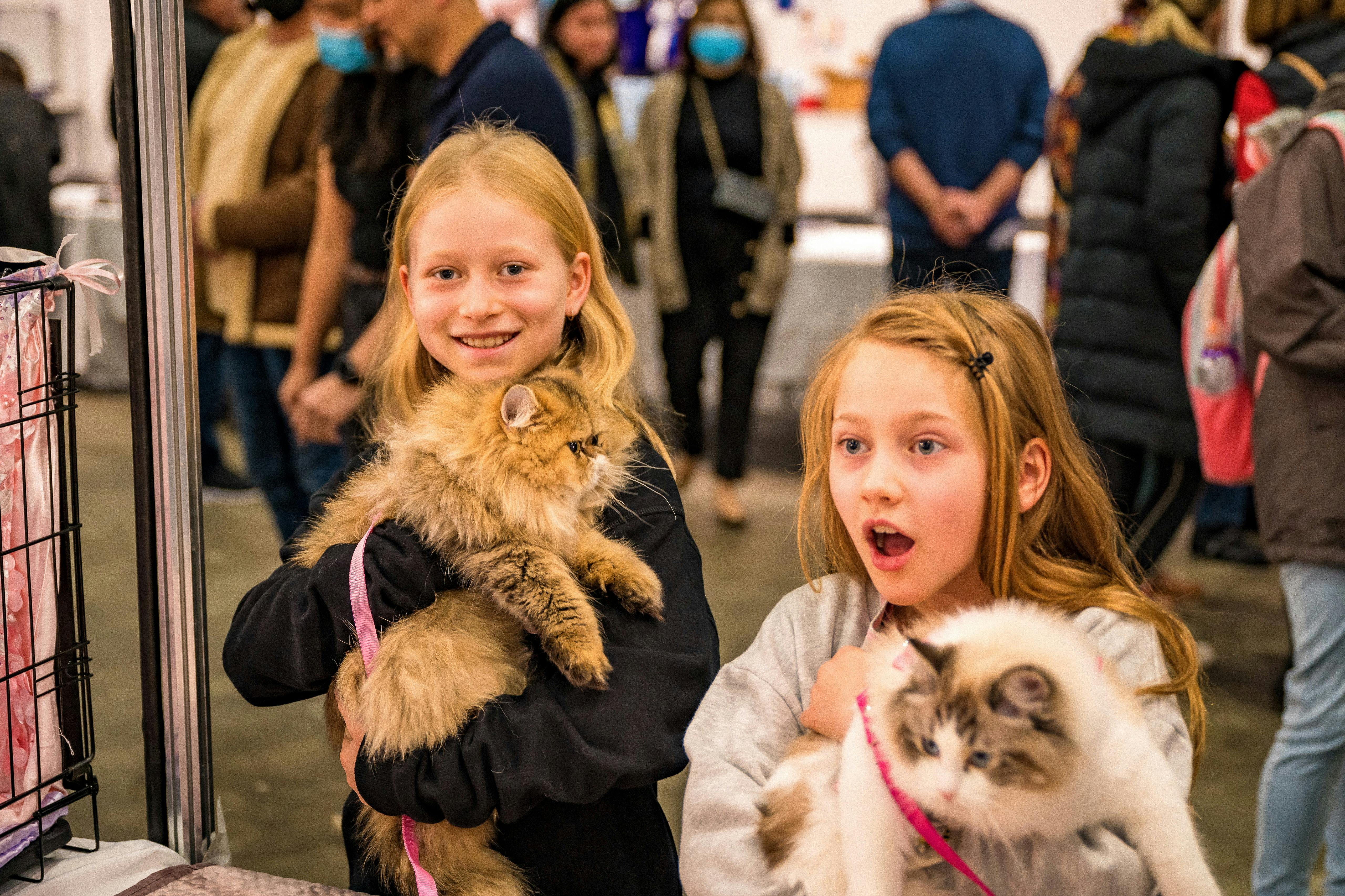 Happy kids with a cat