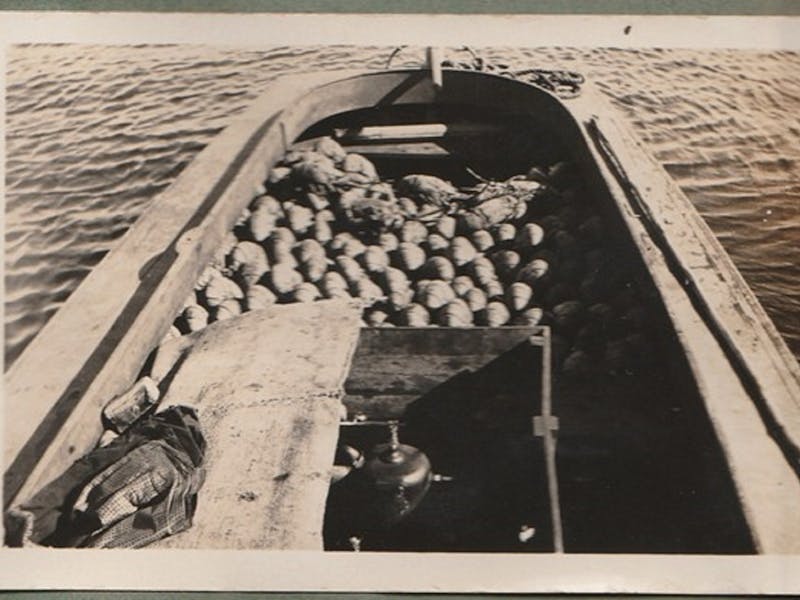 Image for Vintage Marine Display - Iluka Museum