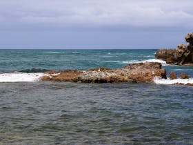 Little Dip Conservation Park