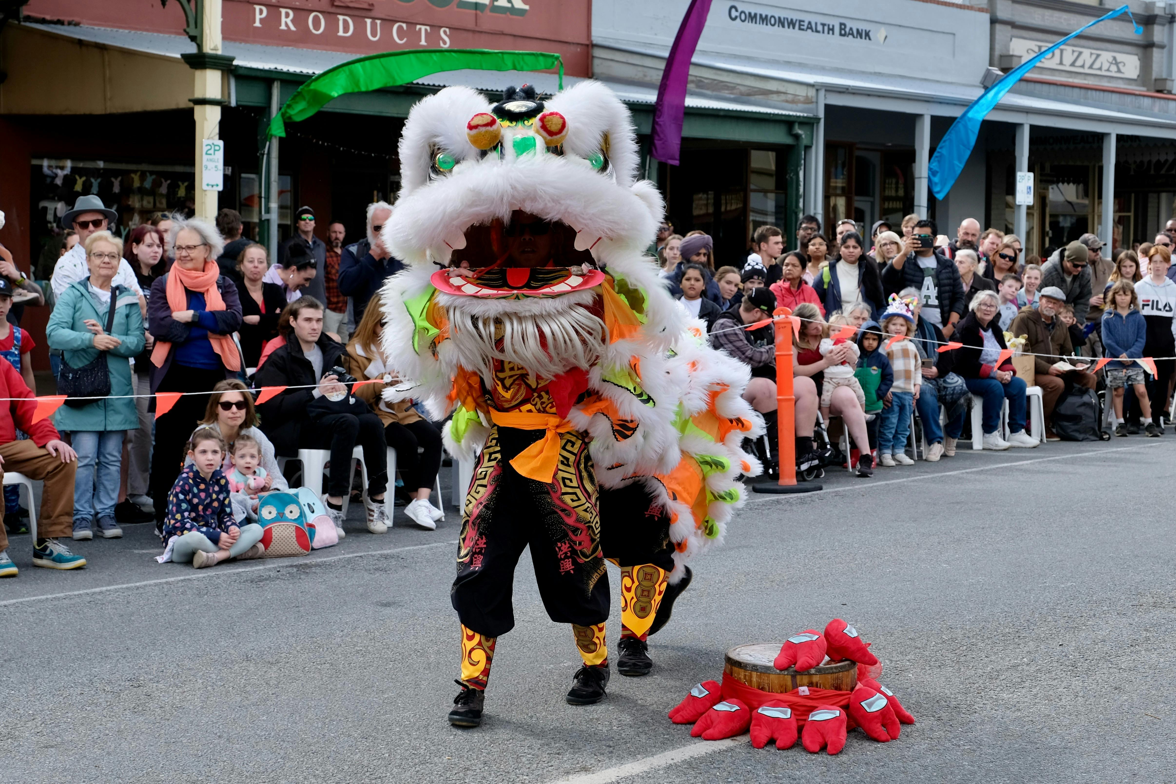 Chinese Lion Dancer performing in ford st
