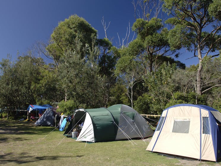 Cave Beach campground, Booderee National Park