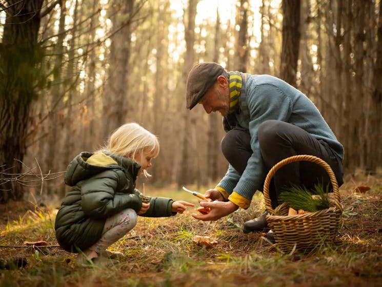 A guy and a young kid with blond hair in a forest looking at mushrooms