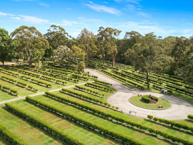 Stunning gardens at Macquarie Park Cemetery
