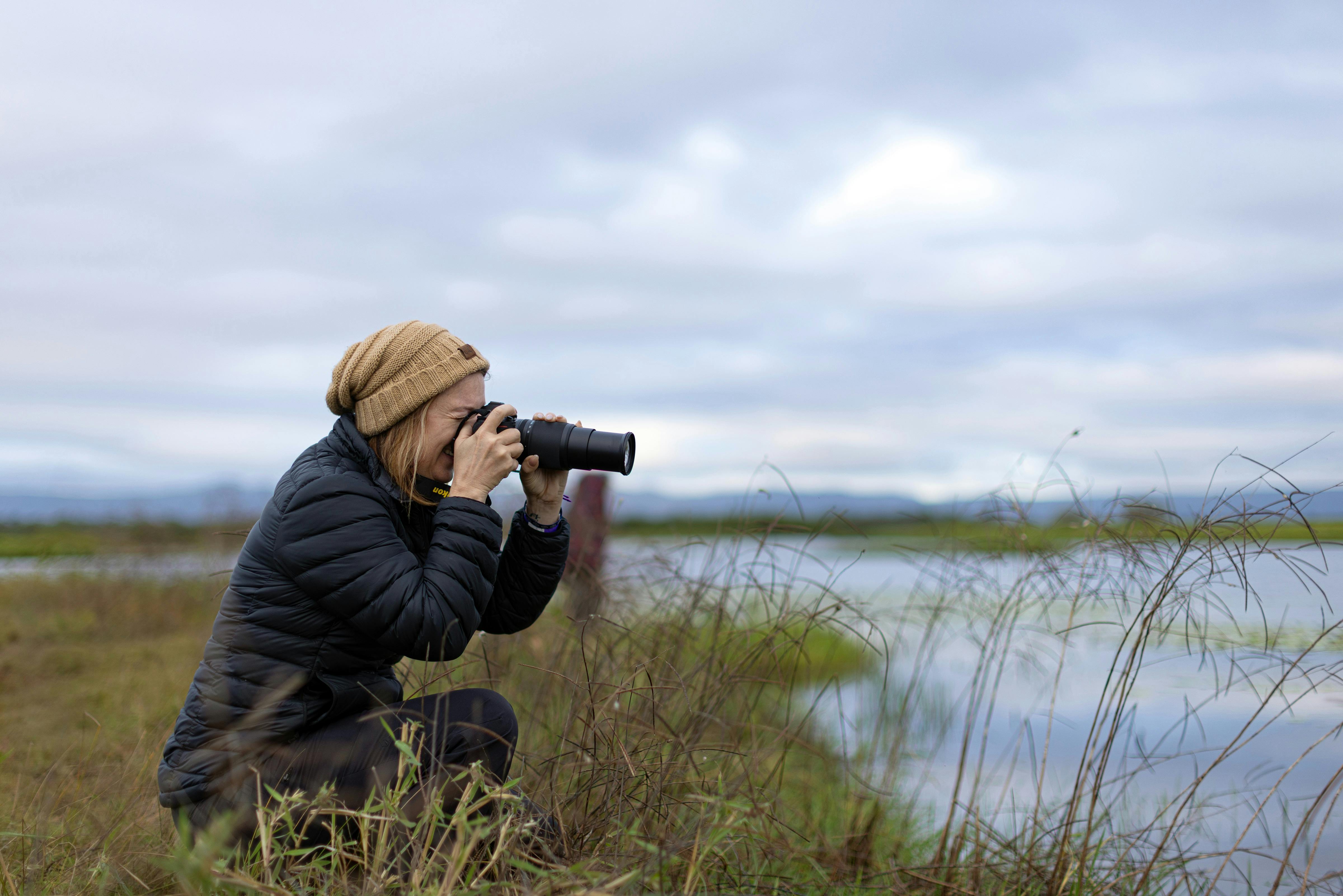 bird watching in wetlands