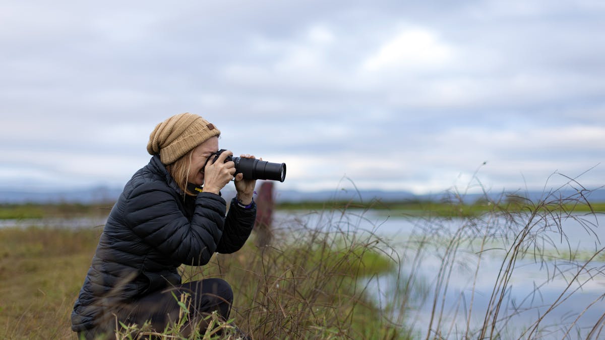 bird watching in wetlands bird watching in wetlands
