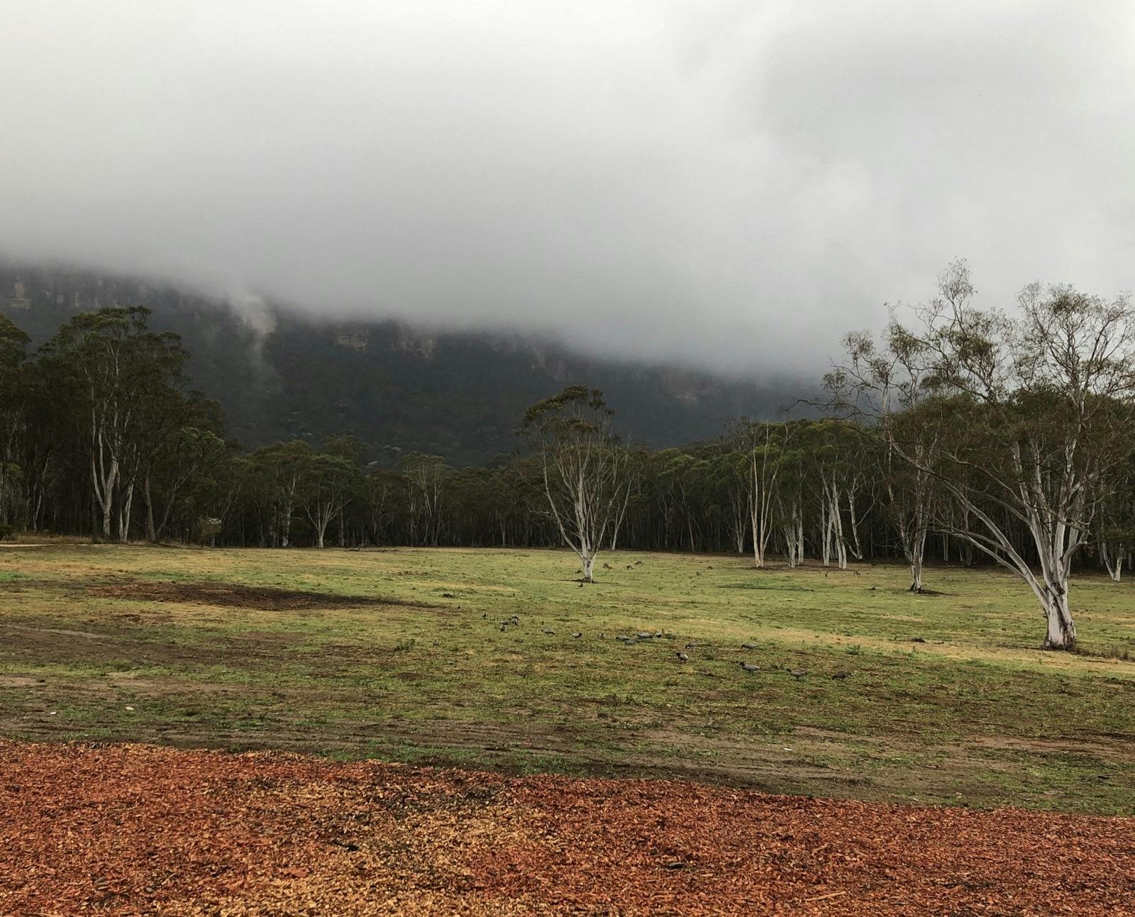 Fog closing in on Megalong Valley