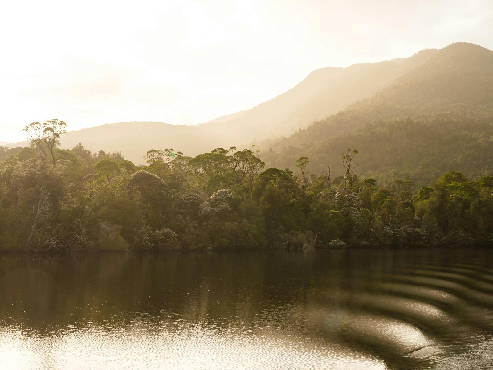 Franklin River PhotoTour