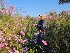 CERES Festival of Flowers