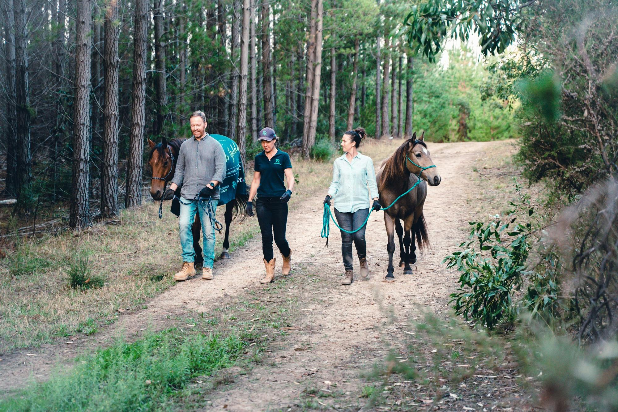 Walking in nature with an ex racehorse and an Australian Brumby as wellness walking companions