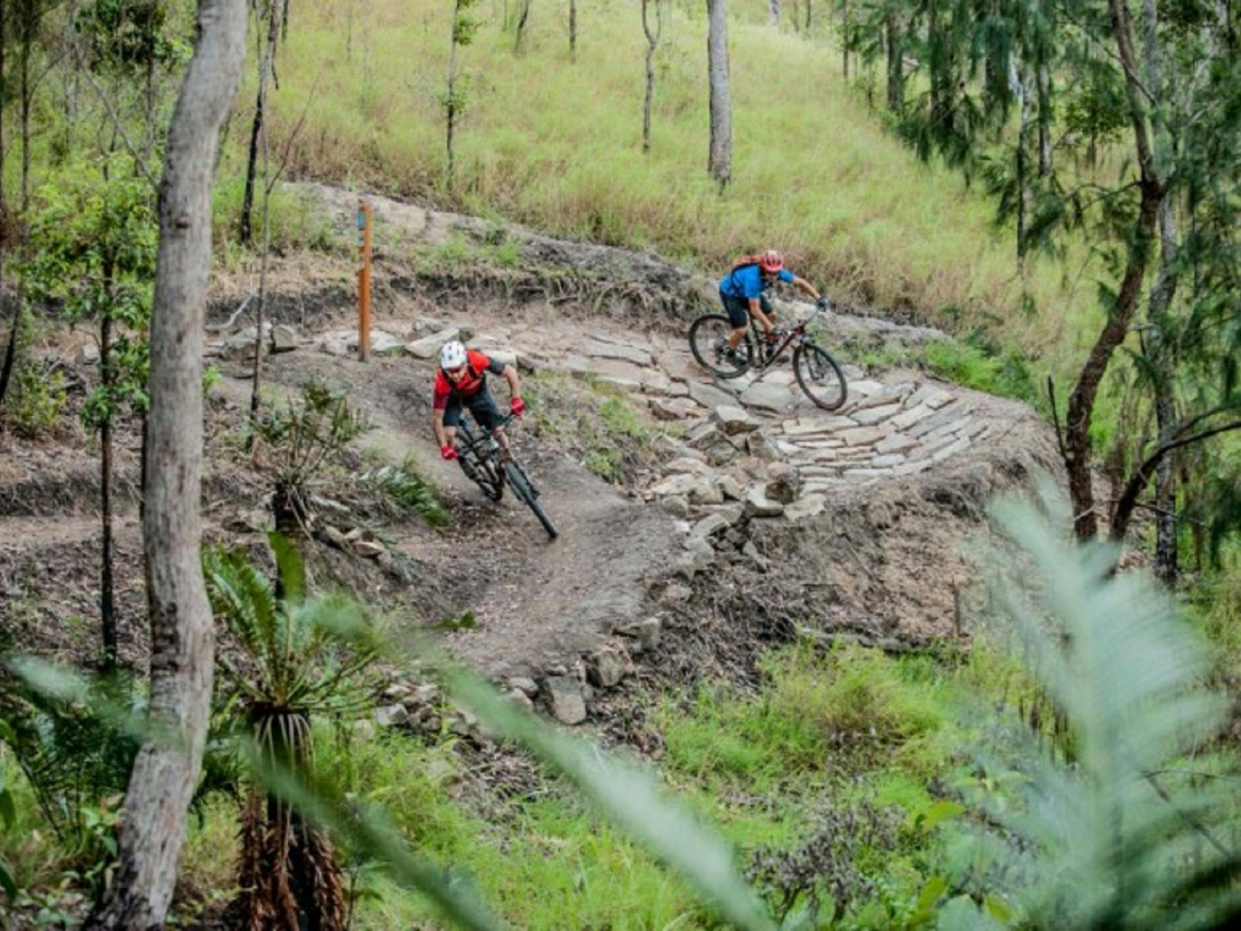 Atherton Forest Mountain Bike Park