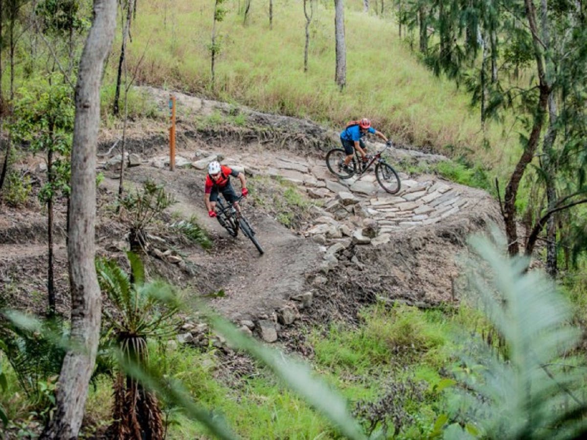 Atherton Forest Mountain Bike Park Atherton Forest Mountain Bike Park