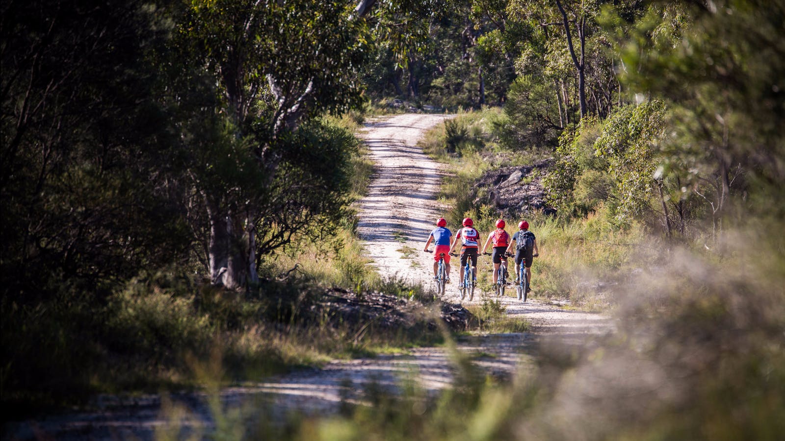 Blue Mountains Biking Adventures - Hire and Tours