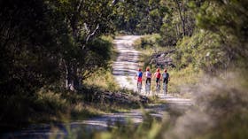 The Oaks Trail - Woodford to Glenbrook