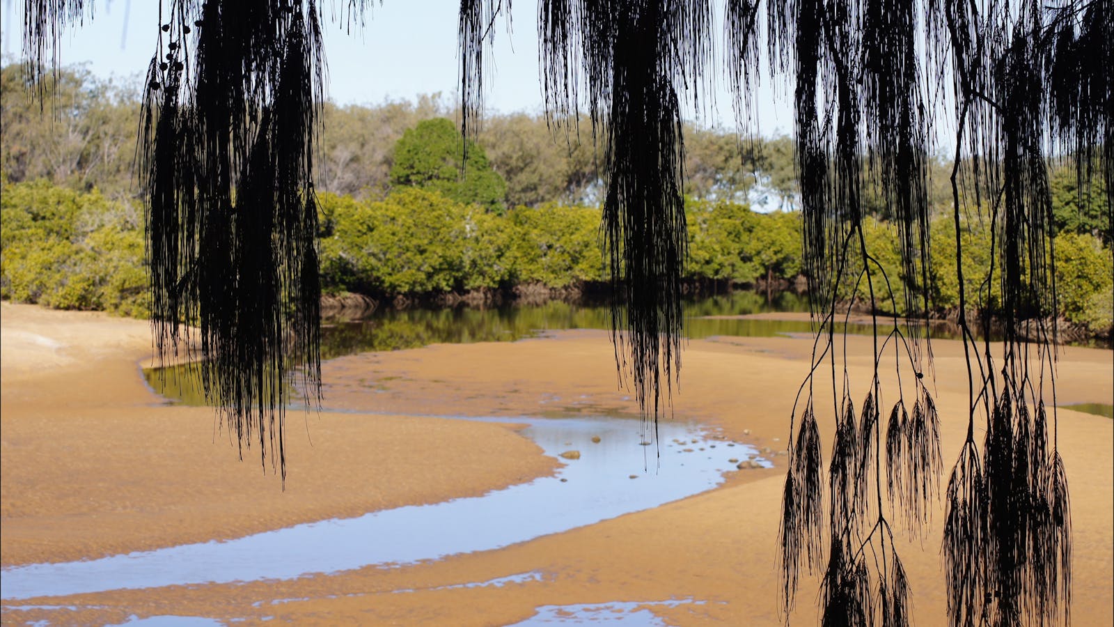 Coral Coast Pathways (Innes Park to Coral Cove)