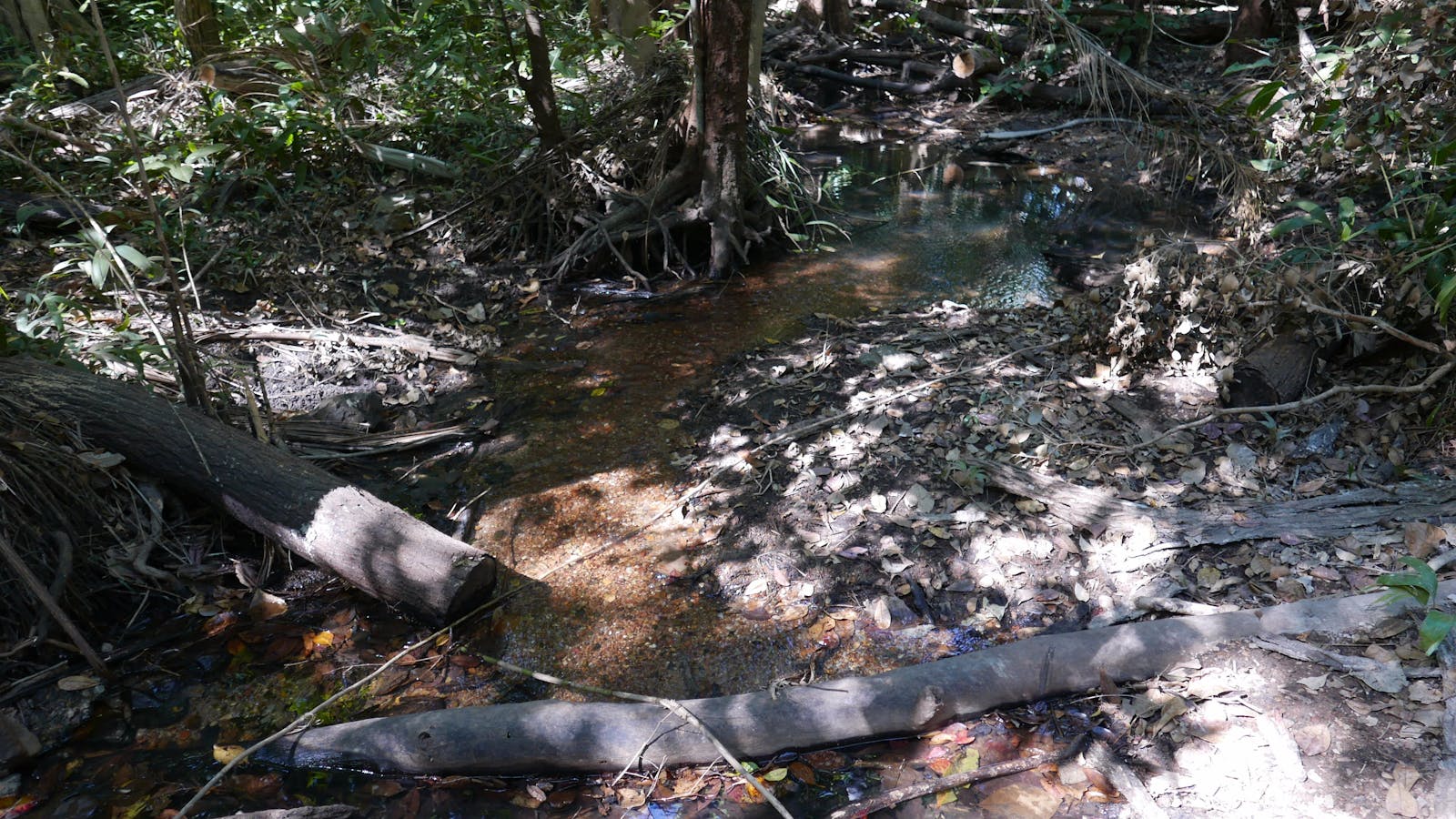 Holmes Jungle Nature Park
