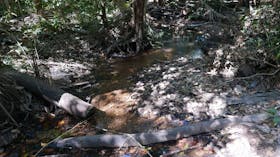 Holmes Jungle Nature Park
