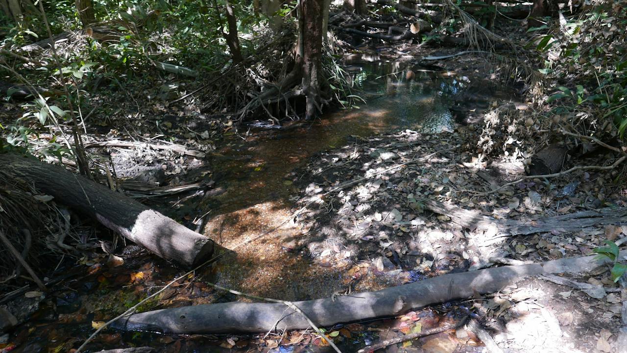 Holmes Jungle Nature Park
