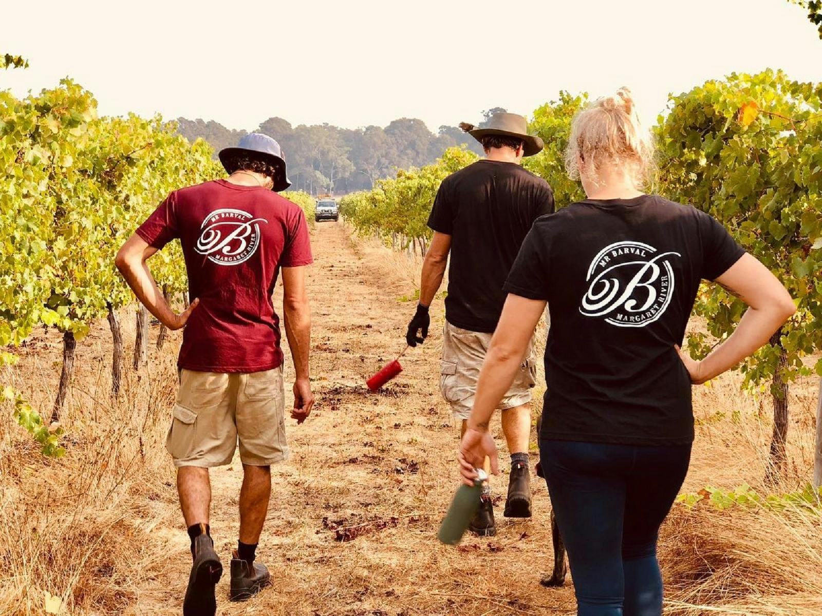 Mr Barval Fine Wines