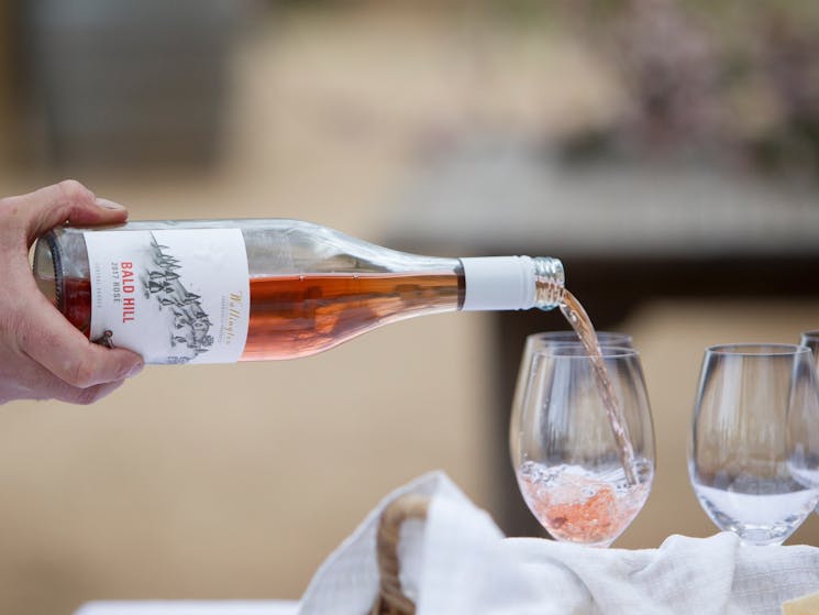 2017 Organic Grenache Rosé