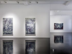 Blue-grey photographs of figures in a landscape at a gallery