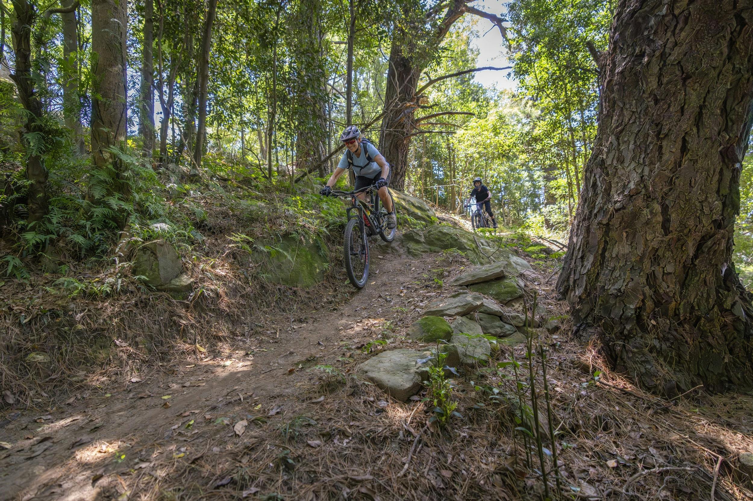 Cyclists ride down a small hill on Kembla mountain bike trails.