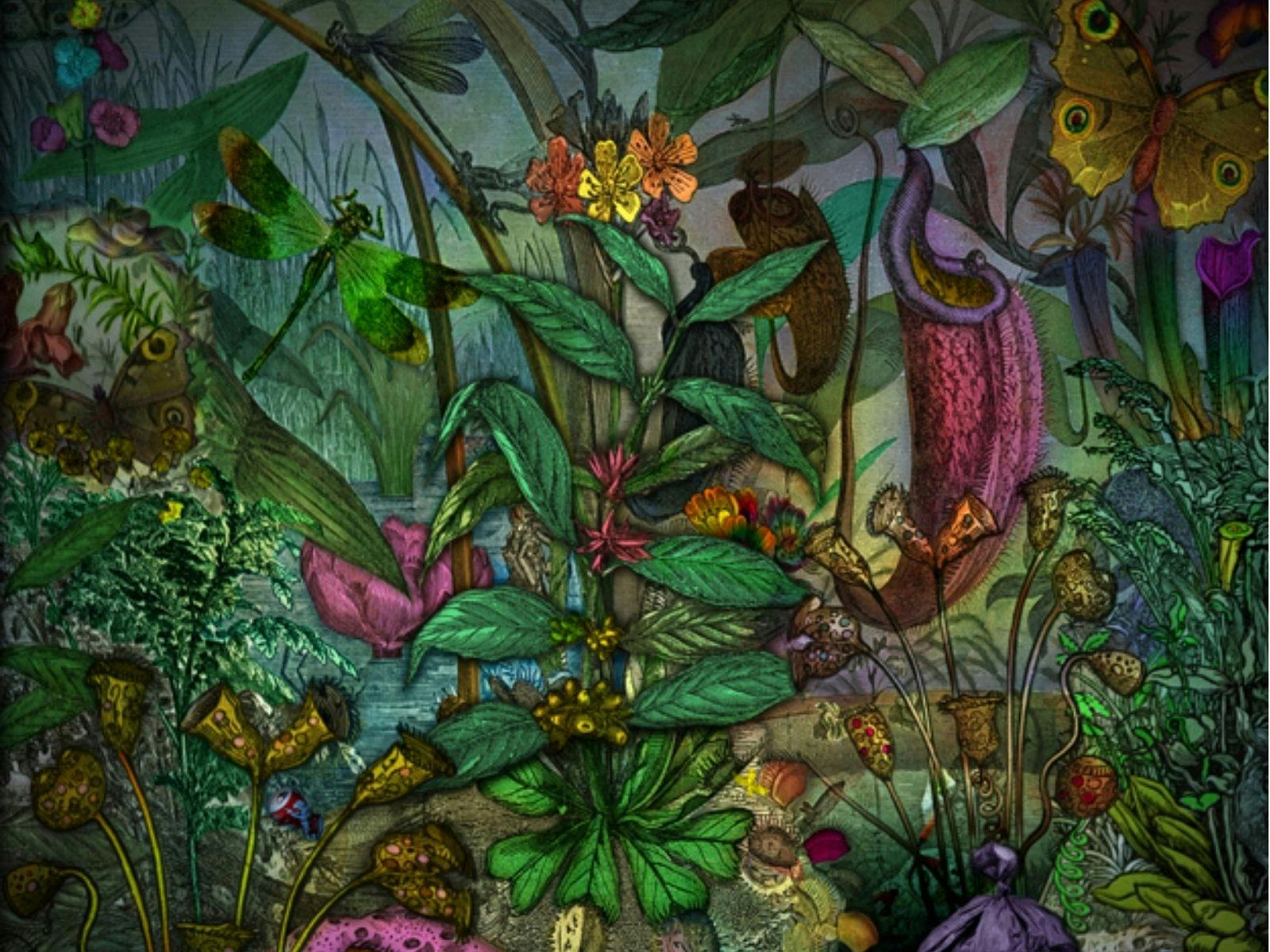 Enchanted Garden - Paul Thirkell