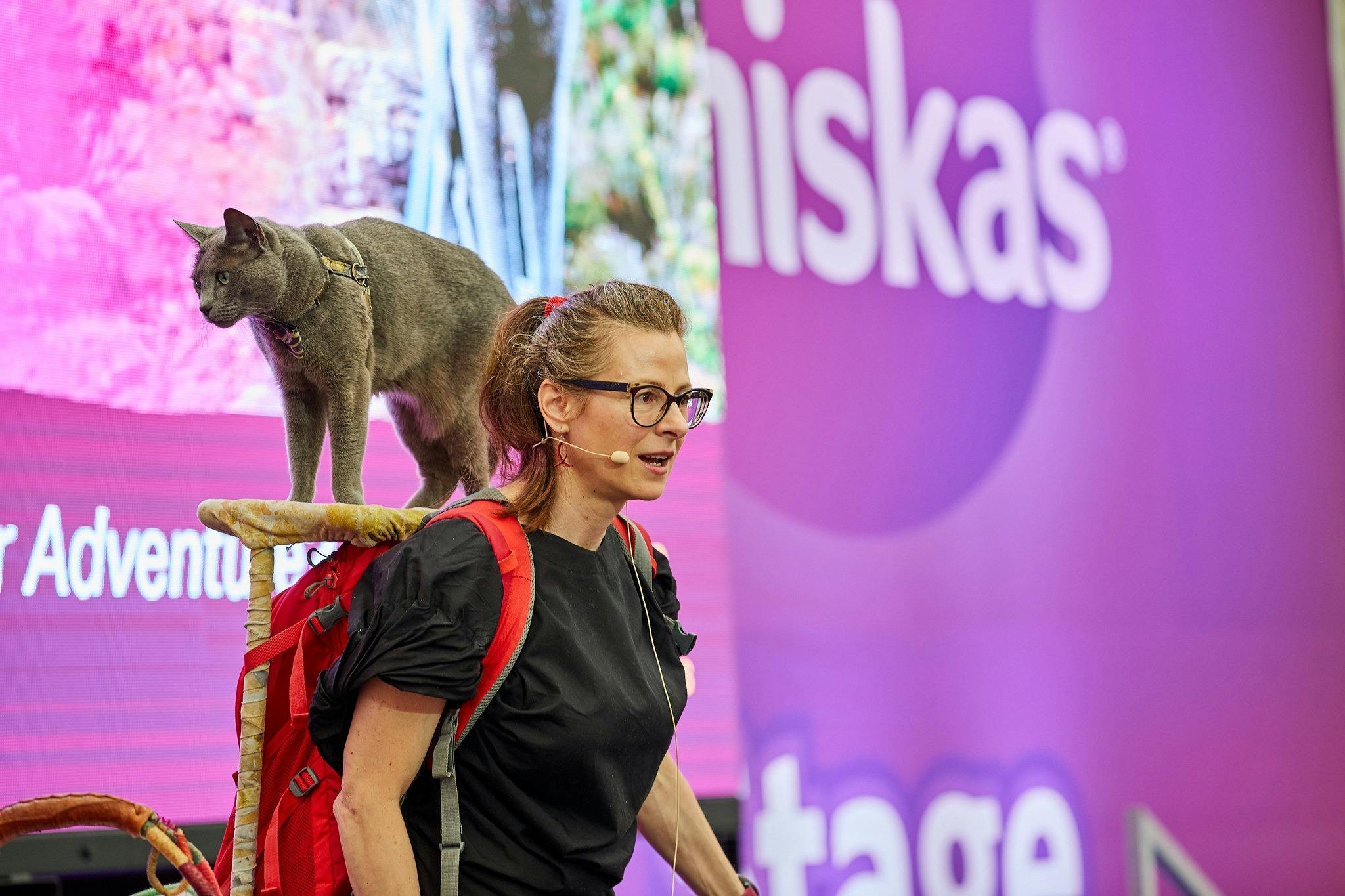 Cat Lovers Festival, Sydney