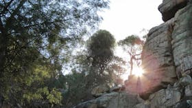 Store Creek Picnic Area
