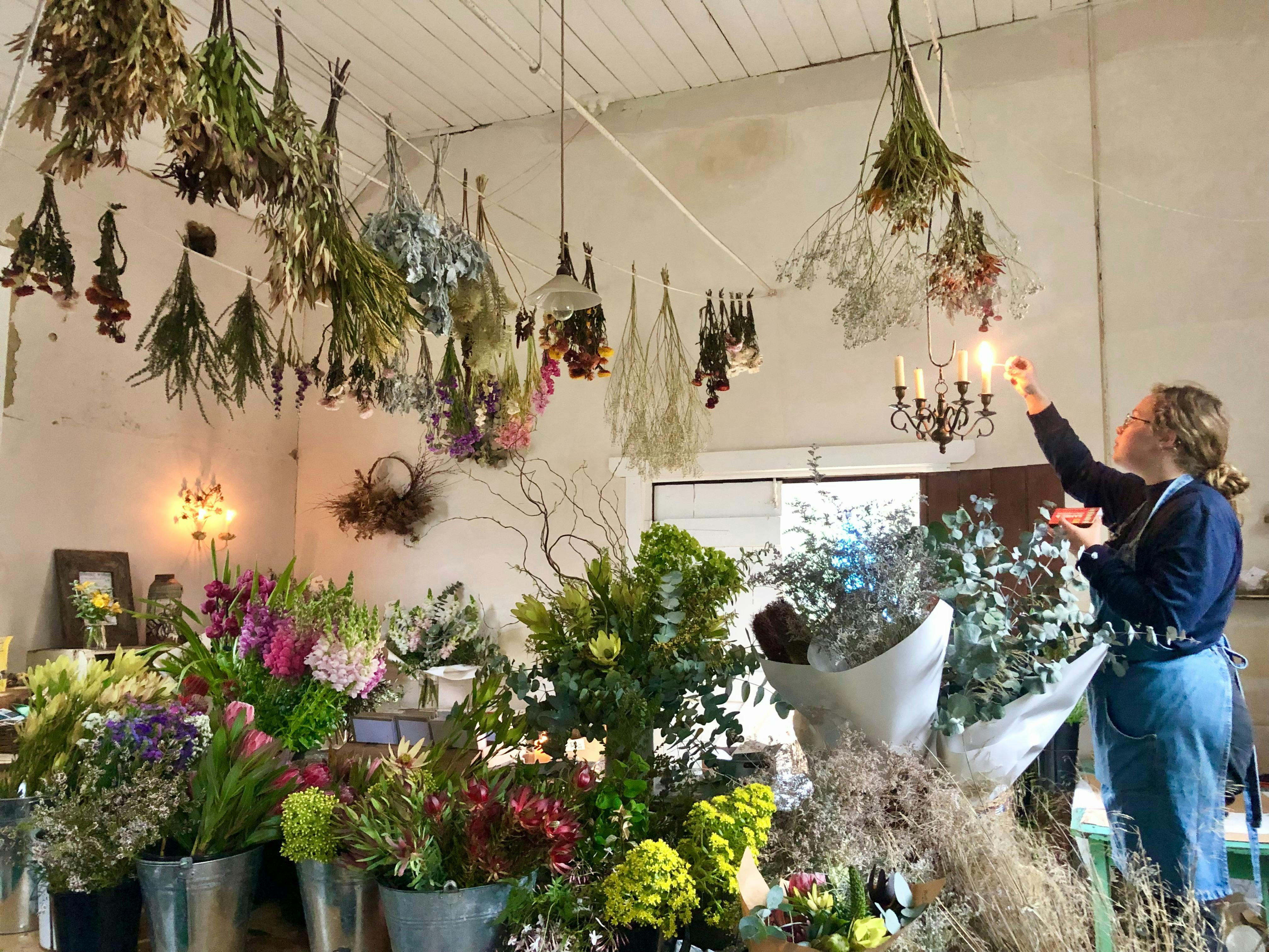 Botanical artists