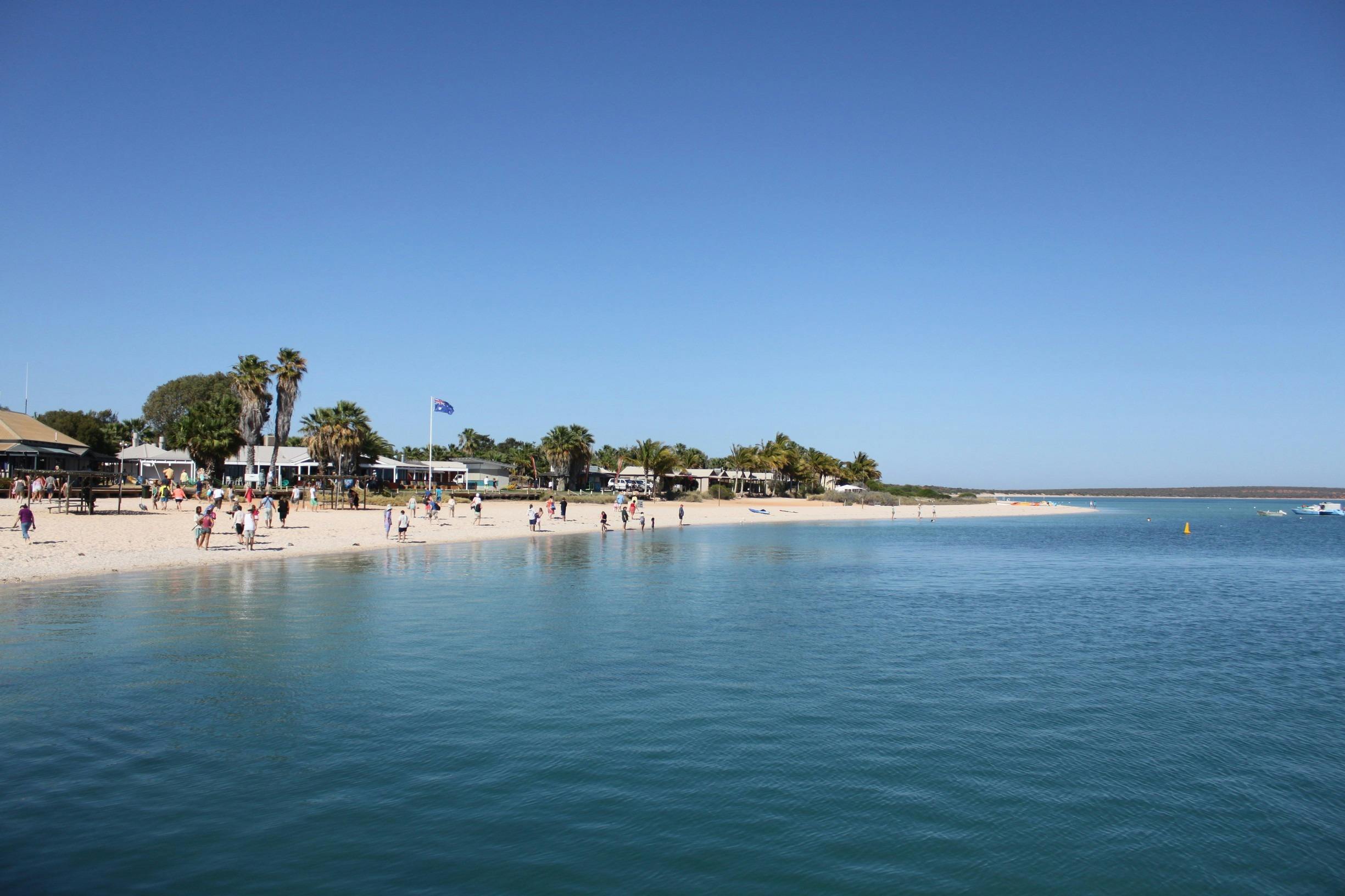 Best of Coral Coast, Monkey Mia, Western Australia