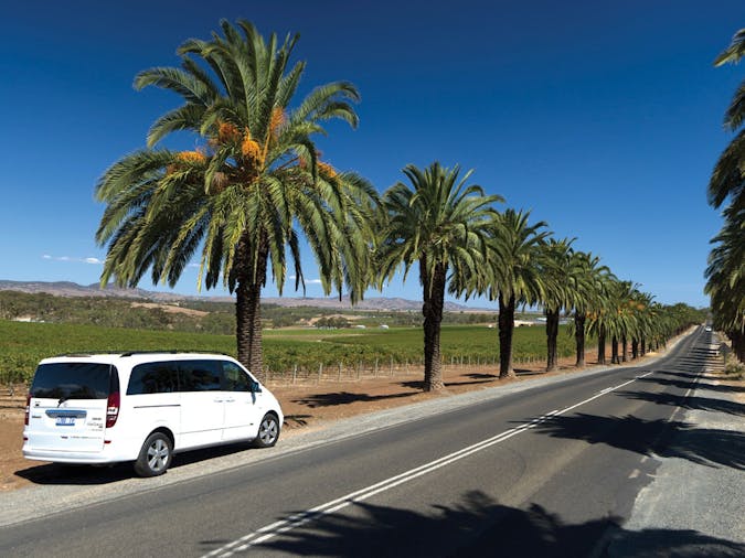 Fruits of the Vine - Private Barossa Valley Tour