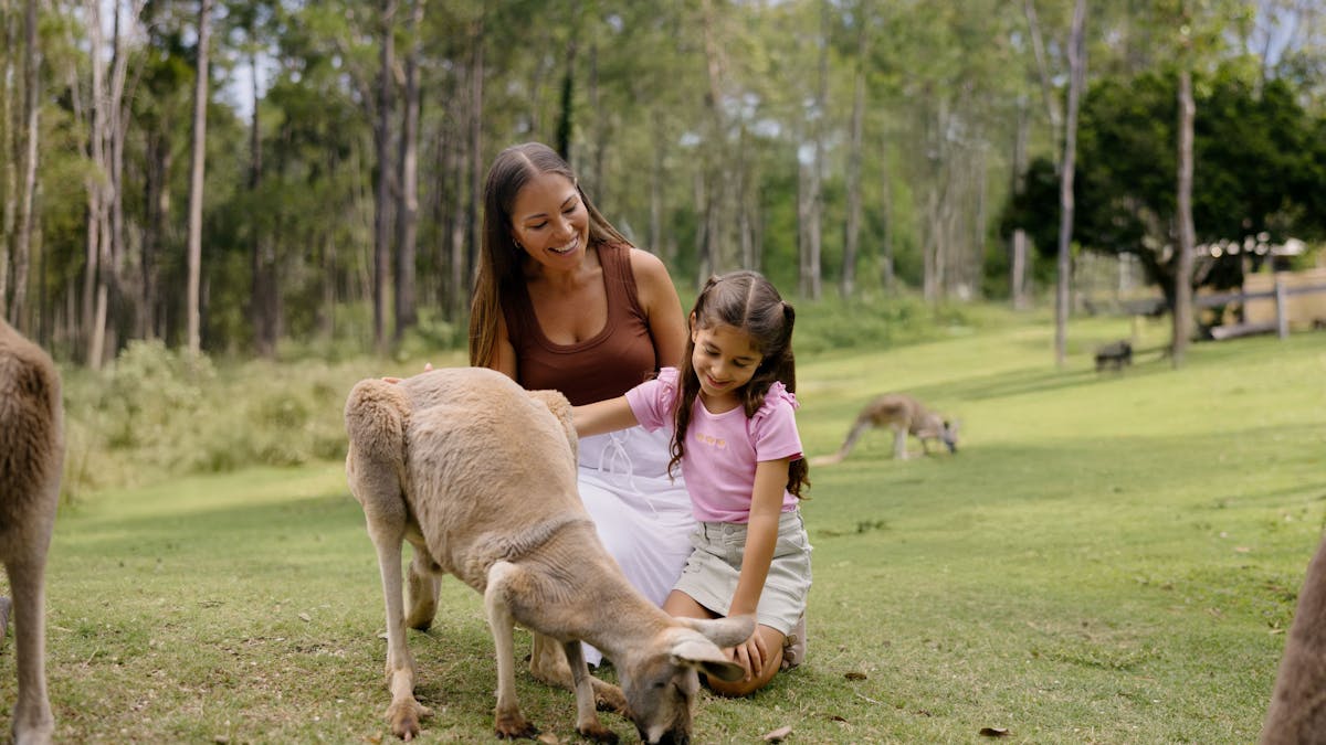 Kangaroo